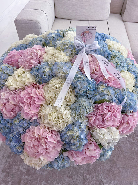 Box with hydrangeas mix colours