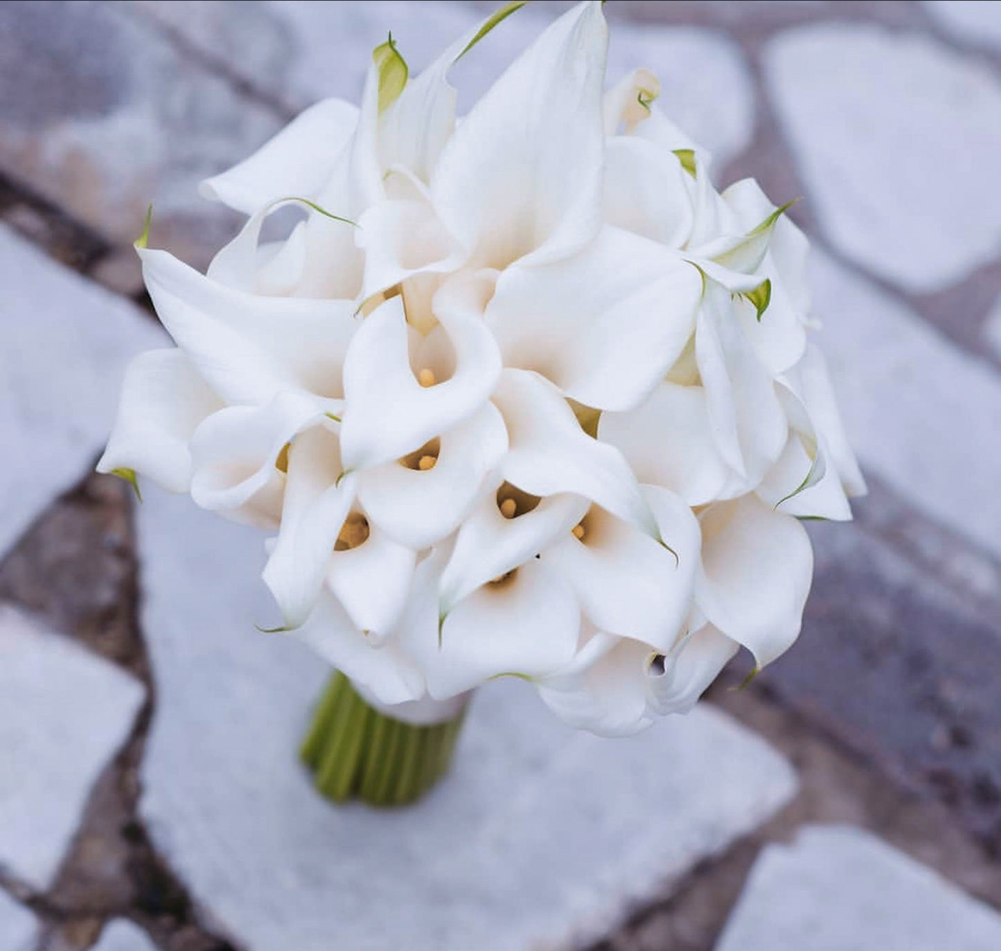 Cala lilies bridal